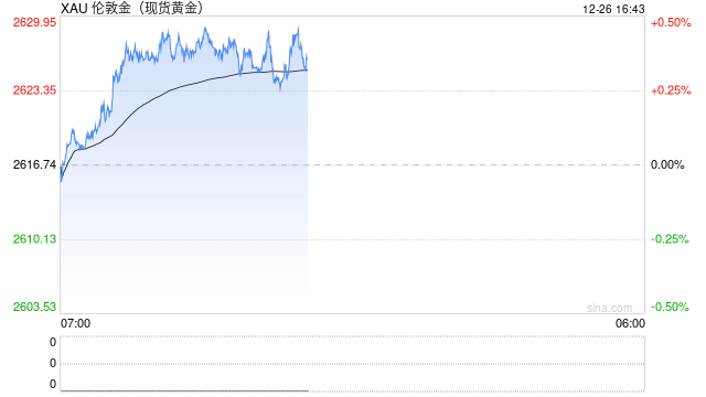 渣打银行王昕杰展望2025：超配全球股票，黄金仍有结构性利好