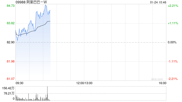 阿里巴巴-W1月22日斥资998.81万美元回购93.68万股