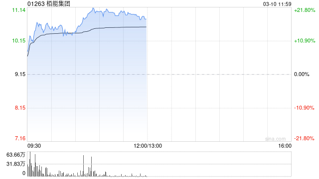 栢能集团早盘大涨超20% 2024年全年纯利同比增长331%